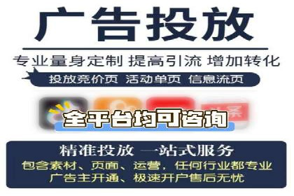 SEM运营公司成功案例解析